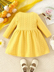 1pc Long Sleeve Knee-Length Adorable Cable Knit Dress