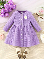 1pc Long Sleeve Knee-Length Adorable Cable Knit Dress