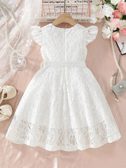 Lace Round Neck Small Flutter Sleeve Zipper Sweet Cute Dress with Belt