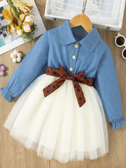 2pcs Imitation Denim Patchwork Mesh Long Sleeve Dress