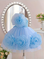 Elegant Flower Decor Sleeveless Mesh Dress