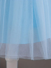 Sleeveless Tulle Tutu with Bow Detail  Dress