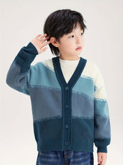 description_selected1