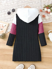 Knitted Fabric Casual Color Block Hooded Dress