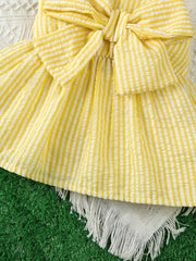 Bow Decor 2pcs Casual Summer Suit Sleeveless Ruffle Top and Ruffle Decorated Shorts