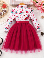 Long Sleeve Mesh Spliced Floral Pattern Ruffle Button Up Belted Dress